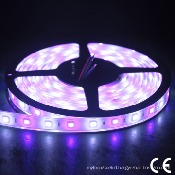 Outdoor Waterproof 110/220V SMD5050 RGB LED Flexible Strip Light